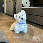 Avatar de Carmina Valadez