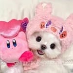 Avatar de Mia Franco